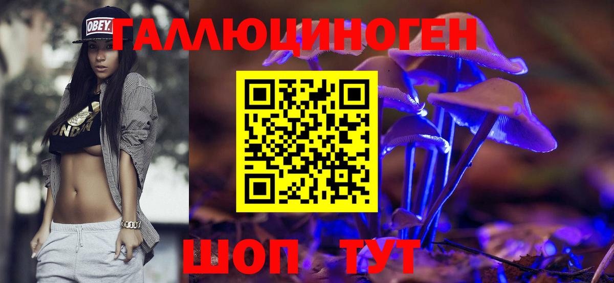 Каспийск  Галлюциногенные грибы Psilocybe  наркошоп  Вход с VPN 
